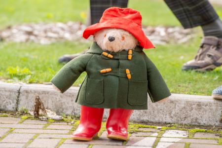 Paddington bear