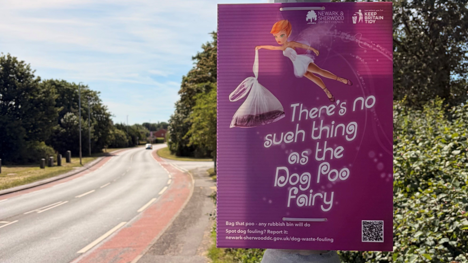 There is no such thing as a dog poo fairy sign up on a lamp post on a sunny day
